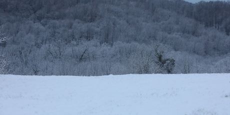 Snijeg u varaždinskom kraju - 2