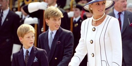 Princeza Diana, Princ William, Princ Harry