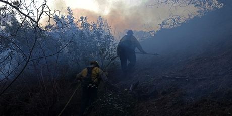 Posljedice požara u Kaliforniji - 4