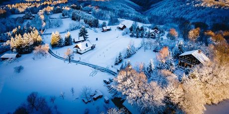 Kladeščica - 1