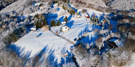 Kladeščica - 11