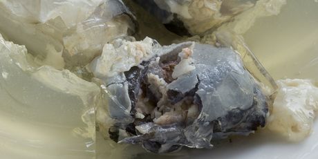 Jellied eels ili svojevrsna hladetina od jegulja