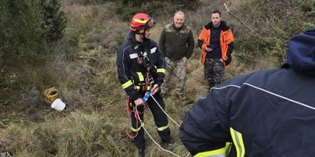 Vatrogasci na Hvaru spasili psa iz jame duboke 20 metara