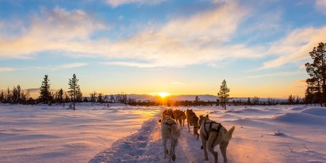 Grenland - 9