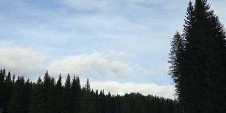 Pokljuka - 1