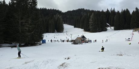 Pokljuka - 2