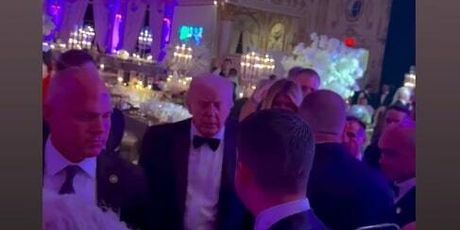 Laura Gnjatović - 1