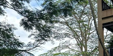 Maja Šuput i Šime Elez - 2