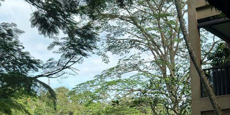 Maja Šuput i Šime Elez - 3