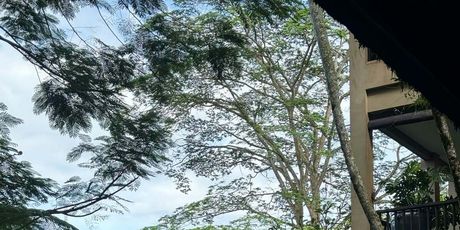 Maja Šuput i Šime Elez - 4