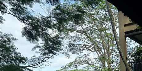 Maja Šuput i Šime Elez - 5