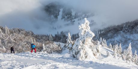 Soriška planina - 5