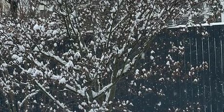 Franka Batelić na Instagramu