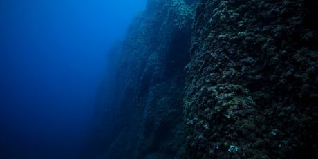 Novi kviz općeg znanja - 14