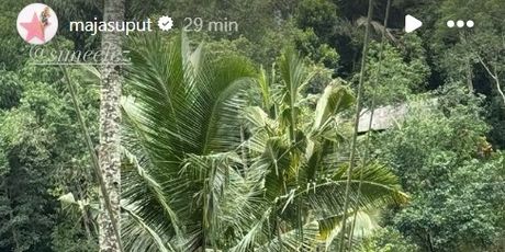 Maja Šuput, Šime Elez