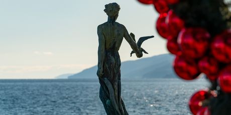 Djevojka s galebom - 3