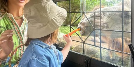 Maja Šuput, Šime Elez i Bloom Tatarinov na safariju - 2