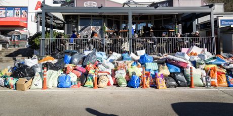 Prikupljanje pomoći za pse u Šibeniku