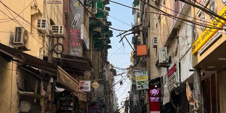 Boris Rogoznica u Indiji - 1