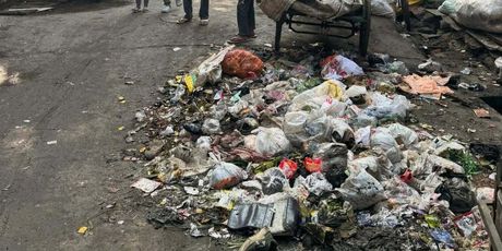 Boris Rogoznica u Indiji - 4