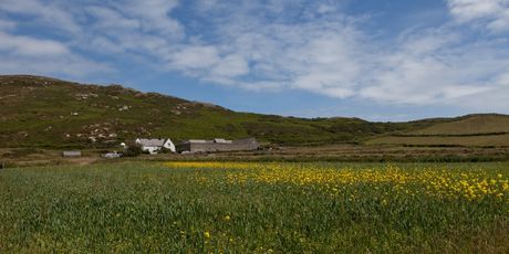 Malo je kuća na otoku - i ljudi