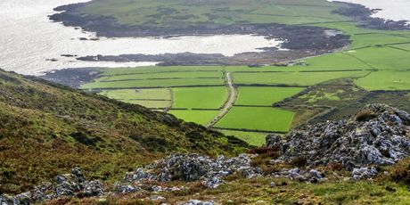 Otok Bardsey, Wales - 3