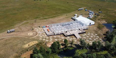 Svadba Mate Rimca i Katarine Lovrić