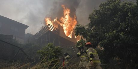 Požar u Čileu - 13