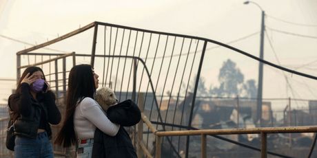 Požar u Čileu - 15