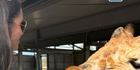 Meghan Markle na Instagramu - 6