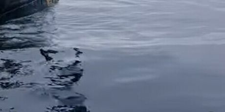 Kolinda Grabar Kitarović - 1