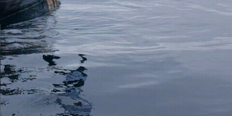 Kolinda Grabar Kitarović - 2