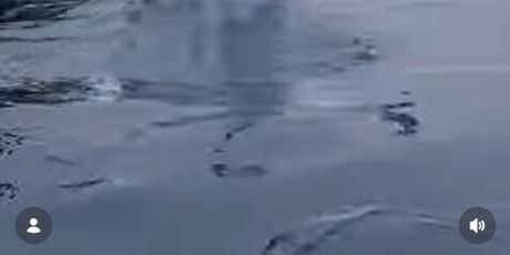 Kolinda Grabar Kitarović - 3