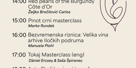 Vinart Biz 2026. - 1