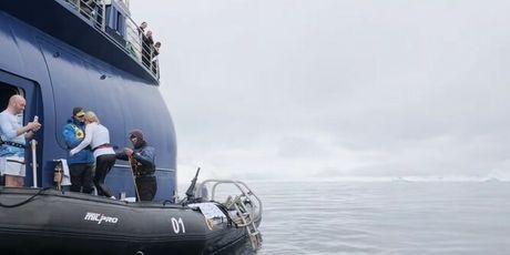 Kristijan Iličić na TikToku, Kolinda Grabar-Kitarović