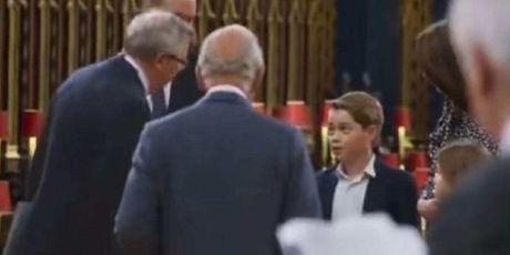 Kralj Charles i princ George