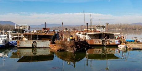 Groblje brodova na Dunavu - 4