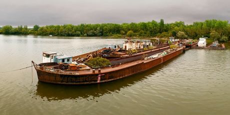 Groblje brodova na Dunavu - 5