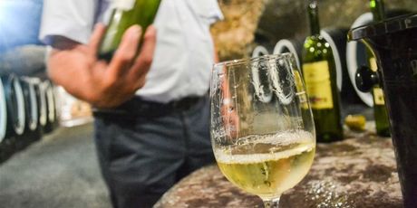 Izvrsna kutjevačka vina mamac su za turiste