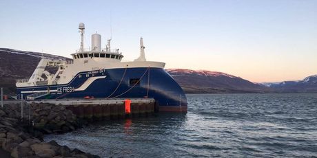 Valentina na Islandu - 32