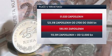Podaci Državnog zavoda za statistiku o strukturi zaposlenih (FOTO: Vijesti Nove TV u 14 sati)