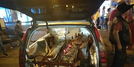 Janjetina na Trgu bana Jelačića (Foto: Snimio čitatelj) - 9