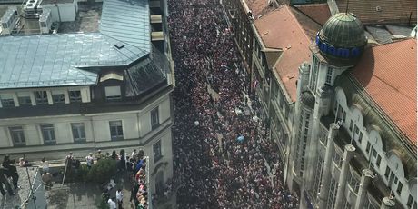 Ilica prepuna ljudi na dočeku nogometaša