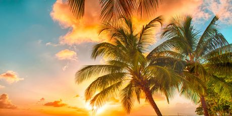 Barbados