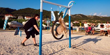 Monty\'s Dog Beach & Bar - 6