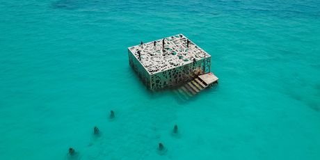 Podvodna galerija na Maldivima - 7