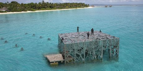 Podvodna galerija na Maldivima - 9