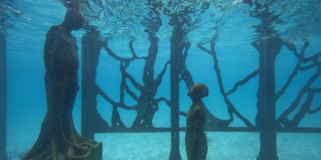 Podvodna galerija na Maldivima - 10