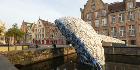 Triennale Brugge - 8