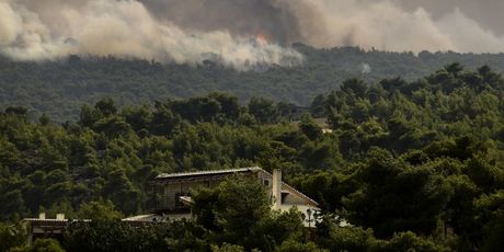 Požar u Grčkoj na području Atene (Foto: AFP) - 4
